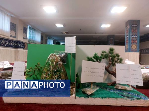 برگزاری نمایشگاه گیاهان دارویی در دبیرستان شاهد شهدای اقتدار ملارد 