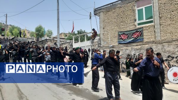 عزاداران حسینی، خیابان‌ها را غرق لبیک یا حسین کردند