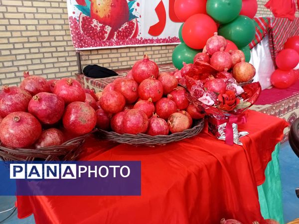 جشن باشکوه انار در روستای نقاب خلیل آباد