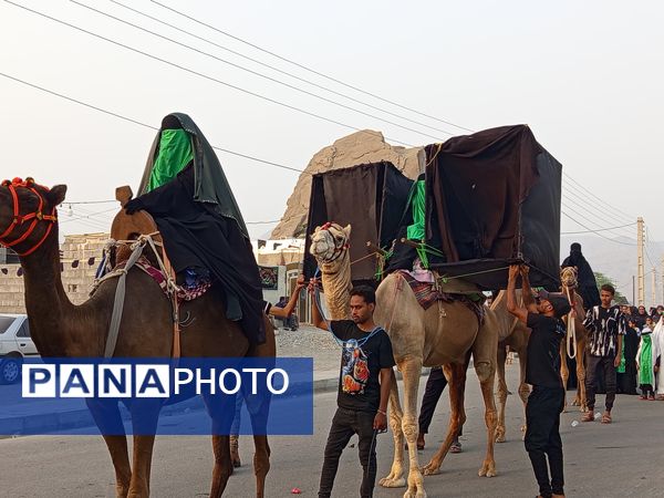 آیین باشکوه کاروان شام تا کربلا در میناب