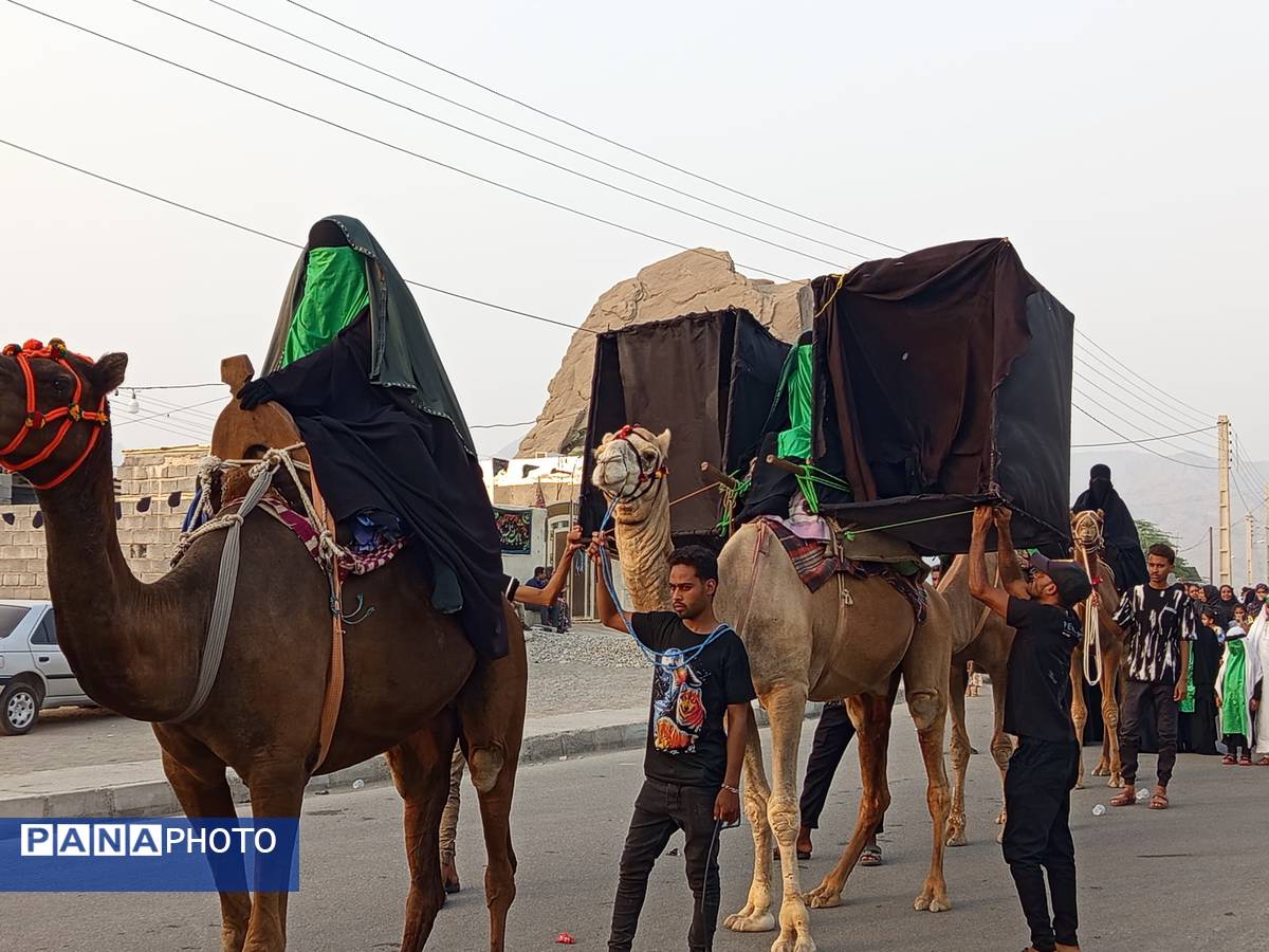 آیین باشکوه کاروان شام تا کربلا در میناب