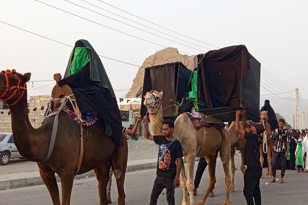 آیین باشکوه کاروان شام تا کربلا در میناب