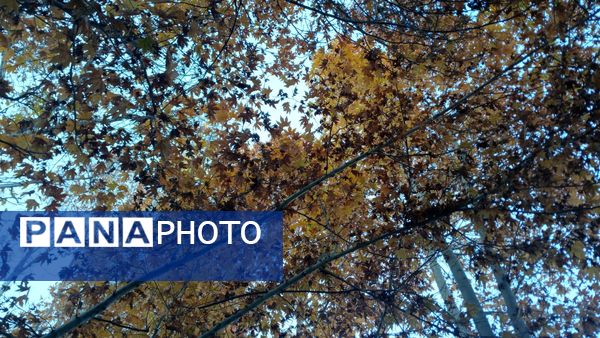 نگاهی کوتاه به طبیعت پاییزی امامزاده بابا پیر احمد (ع) شهرستان بن 