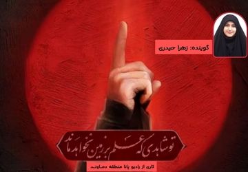 کاش می‌شد تو را قاب کرد، ای بانو