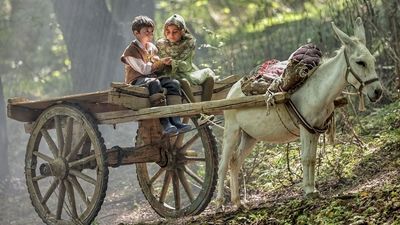 «روماک» در ژانر کودک و نوجوان کلید خورد/ قصه‌ای کودکانه در دهه ۵۰