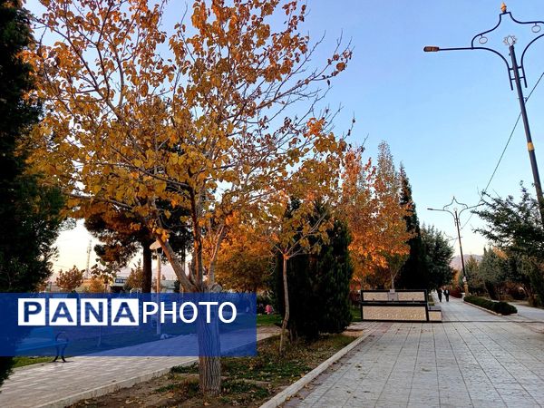 طبیعت زیبای کاشمر در پاییز