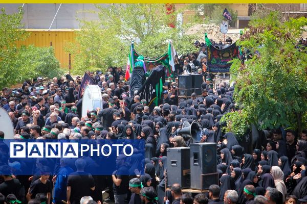 برگزاری مراسم ملی وداع نخل‌های روستاهای علوی و خاوه اردهال