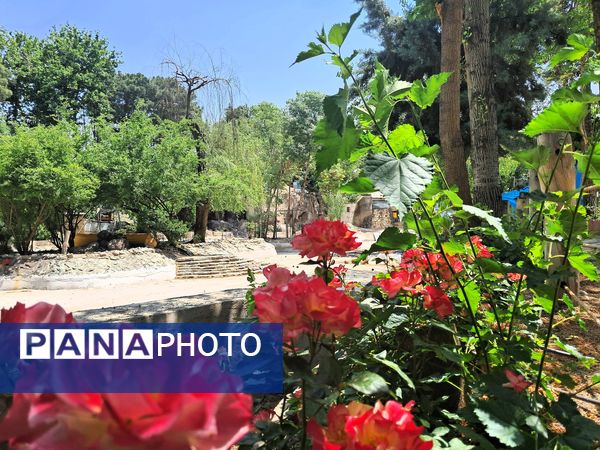 بازدید از باغ وحش ارم ،تجربه‌ای بی‌نظیر در دنیای شگفت‌انگیز حیوانات 