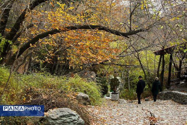 پاییز خیال انگیز در پارک جمشیدیه