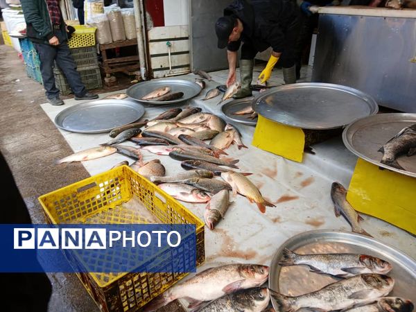 شب یلدا در بازار رشت