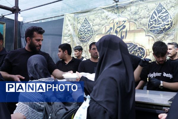 روایت تصویری از راه عشق مشهد در سوگ امام رضا(ع)