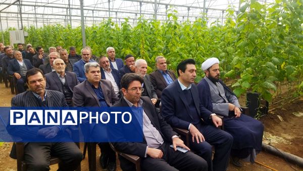 بازدید از گلخانه نمونه خسروشاه در هفته بسیج