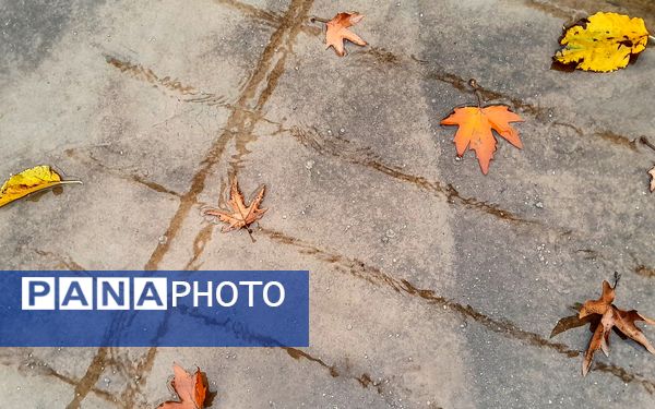 بازگشت باران به میانکوه پس از ماه‌ها خشکسالی