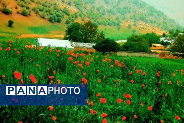 جاذبه‌های گردشگری روستای دوازده‌ امام 