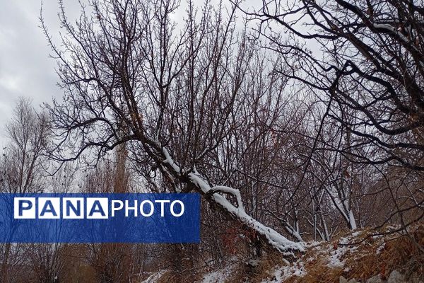 خودنمایی برف در شهر بار نیشابور