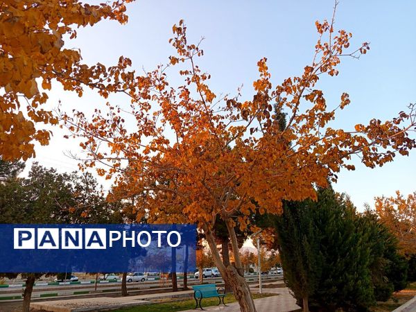 طبیعت زیبای کاشمر در پاییز