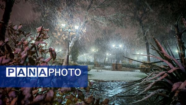 نزول برکت و نعمت در نخستین روزهای زمستانی در نیشابور