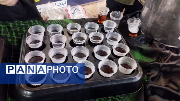 برپایی موکب به‌مناسبت شهادت شهید سید حسن نصرالله و شهدای مقاومت در شهرستان کاشمر