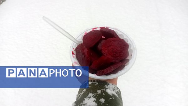 مارکده در آغوش سپیدی برف