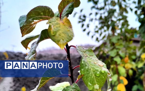 بازگشت باران به میانکوه پس از ماه‌ها خشکسالی