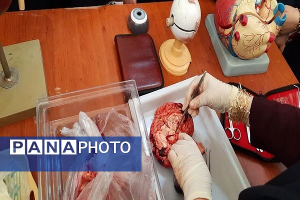 مراسم بزرگداشت روز آزمایشگاه در پژوهشسرای دانش‌آموزی خوارزمی 