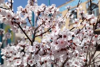 پیام تبریک نوروز ۱۴۰۴ ، تلاقی بهار طبیعت و بهار بندگی