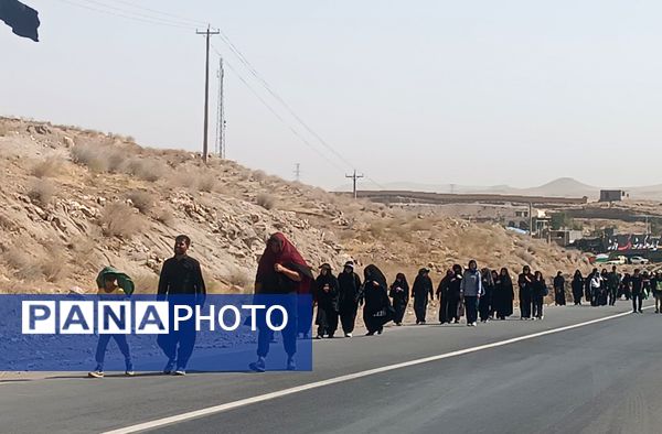 گام هایی از جنس عشق به امام رضا (ع)