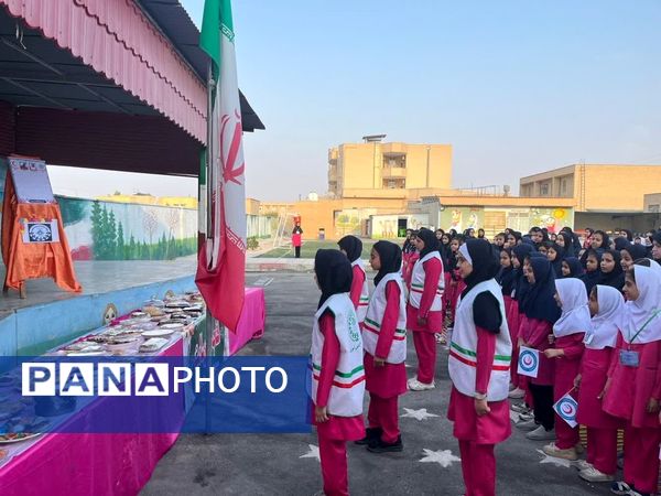 طرح ملی «ماهر و سفیران سلامت» در آموزشگاه زینبیه خورموج دشتی 