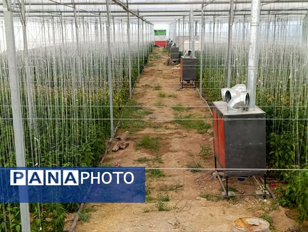 فاز دوم مجتمع گلخانه‌ای لردگان، آغاز فصل جدیدی در کشاورزی پایدار