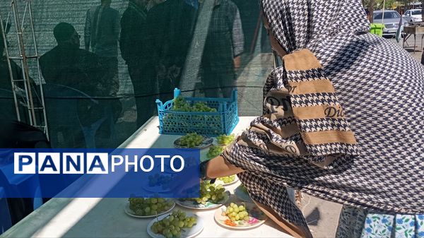 عاشقان امام رضا(ع) در راه مشهد مقدس