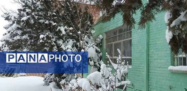 جلگه رخ سفید پوش شد 