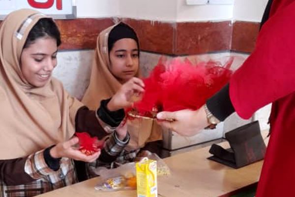 یلدای ایرانی در مدرسه نشر علم ورامین