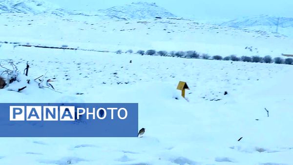 رقص دانه‌های برف در آسمان خاتم؛ شور و هیجان کودکان