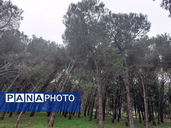 کردکوی، سرسبزترین شهرستان گلستان