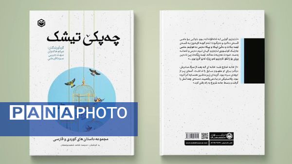 آیین رونمایی از مجموعه داستان «چه‌پکێ تیشک»؛ تجلیل از خلاقیت نویسندگی دانش‌آموزان شهرستان دیواندره