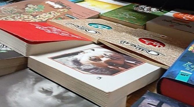 برپایی نمایشگاه کتاب با ۳۰ هزار جلد کتاب در میناب
