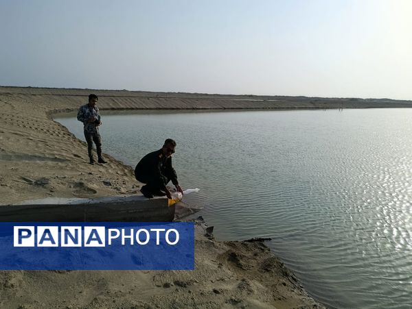 هفته دولت در جاسک؛ از تجلیل کادر درمان تا افتتاح مزرعه ۲۰ هکتاری میگو