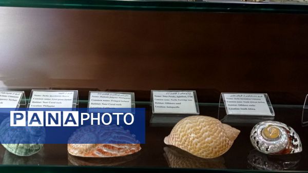 بازدید مدرسه ساره از پارک موزه علوم زمین