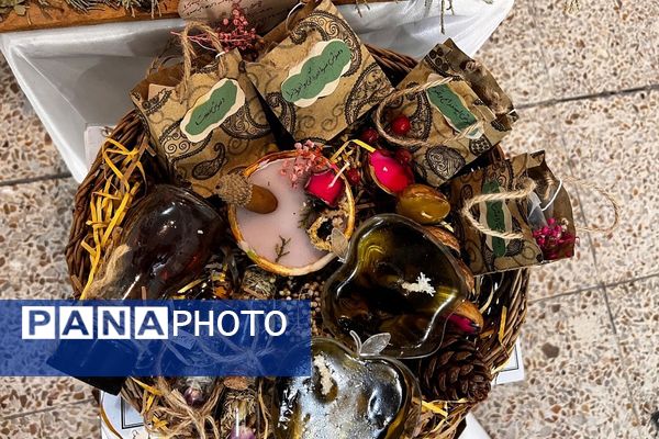 پایان کار نمایشگاه گیاهان دارویی پژوهش‌سرای کاوش کهریزک 