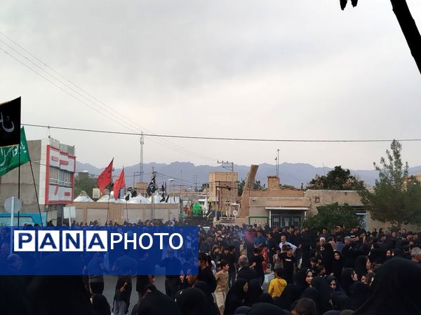 حرکت دسته بنی اسد در روستای فدافن