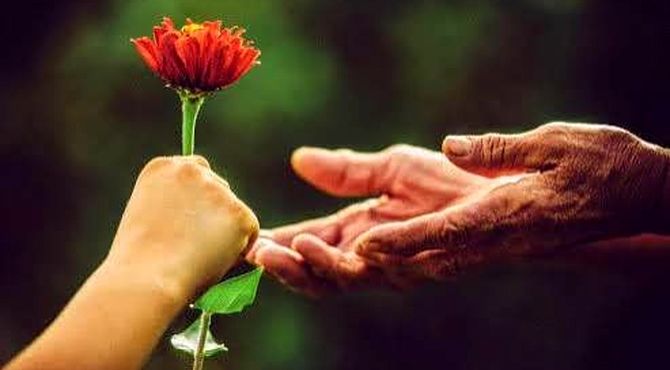 اختتامیه پویش دریای مهربانی 