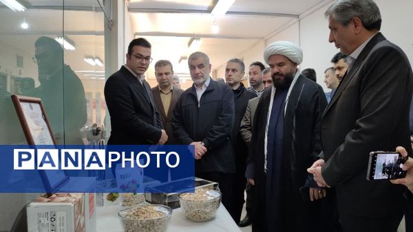 بازدید نائب رئیس مجلس شورای اسلامی از نمایشگاه تولیدات و محصولات صنعتی و صنایع دستی شهرستان کاشمر