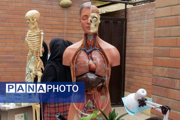 مراسم هفته پژوهش در دبیرستان بانو عفت آهنگری شهرری