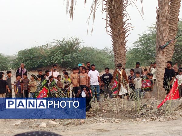 آیین باشکوه کاروان شام تا کربلا در میناب