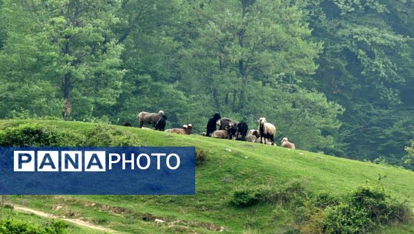 طبیعت بکر باران کوه استان گلستان
