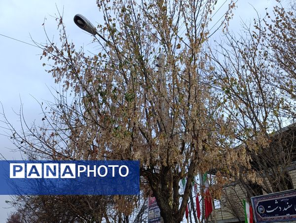 سفیددشت میزبان اولین بارش‌های مؤثر پاییزی