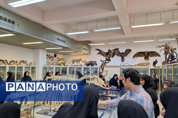 بازدید دانش‌آموزان از موزه زمین شناسی و جانور شناسی دانشگاه فردوسی مشهد