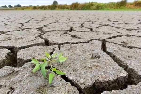 رئیس امور مراتع و بیابان استان همدان از وضعیت بحرانی ۱۰۴ هزار هکتار از اراضی استان خبر داد