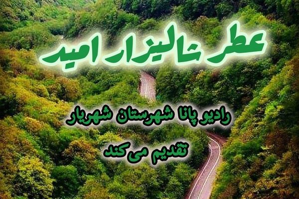 عطر شالیزار امید 