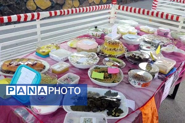 برگزاری اردوی درون مدرسه‌ای و جشنواره غذا در دبستان شاهد تحقیقی ناحیه ۶